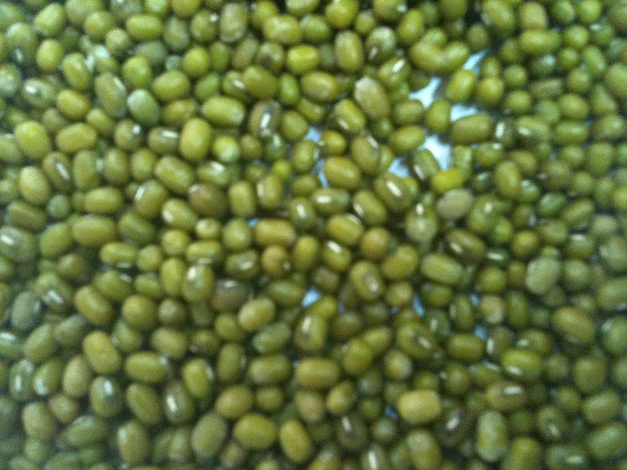 Green Bean - Công Ty Xuất Nhập Khẩu Nông Lâm Sản Và Vật Tư Nông Nghiệp